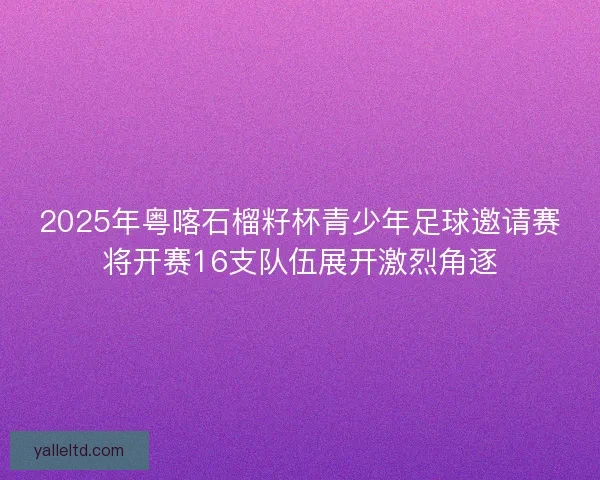 2025年粤喀石榴籽杯青少年足球邀请赛将开赛16支队伍展开激烈角逐