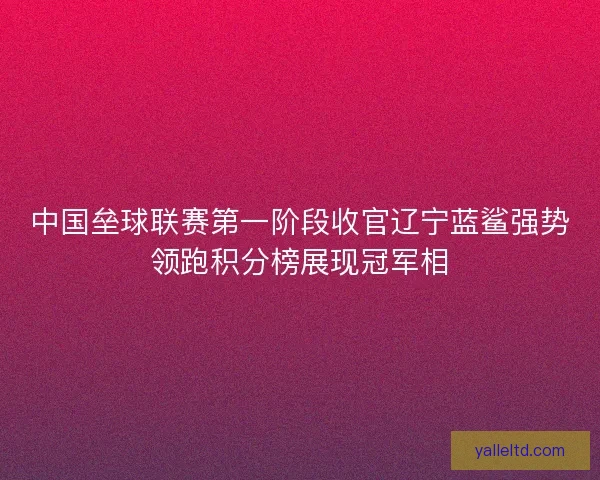 中国垒球联赛第一阶段收官辽宁蓝鲨强势领跑积分榜展现冠军相